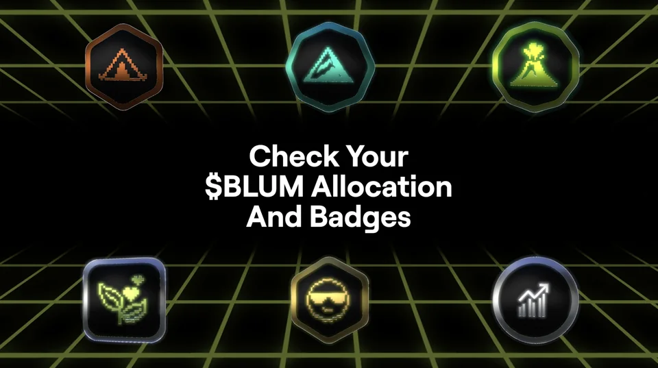 Check your $BLUM Allocation & Badges